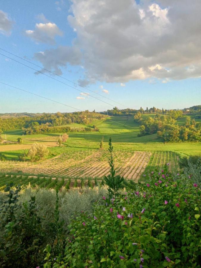 Agriturismo La Pineta Φουσέκιο Εξωτερικό φωτογραφία